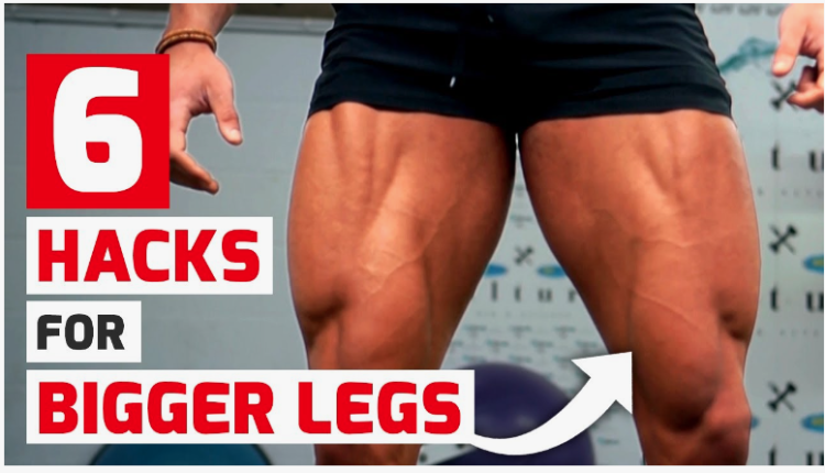 best exercises for the perfect leg day
