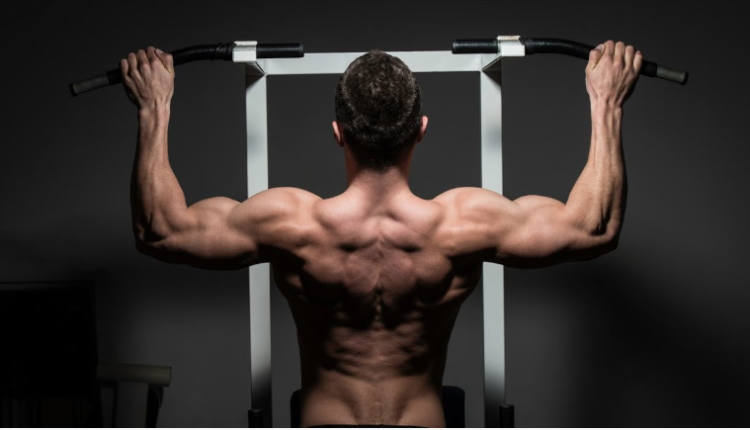 building muscle quickly