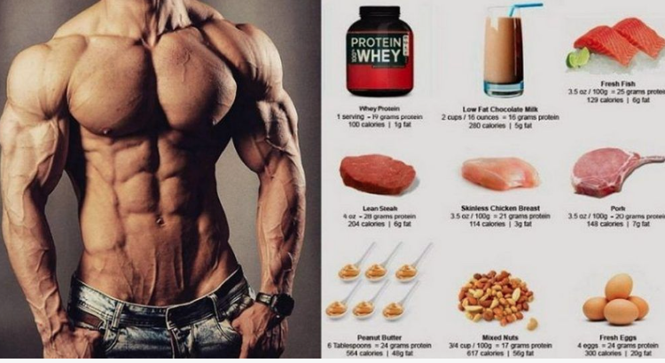 what you need to eat